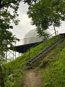 Příroda nedaleko luxury tent