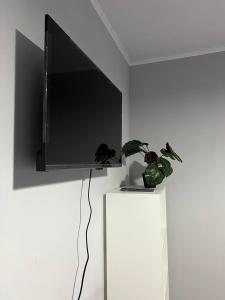 a flat screen tv on a wall with two potted plants at Day and Night II in Tokolʼdosh