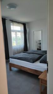 ein großes Bett in einem Schlafzimmer mit Fenster in der Unterkunft Pension HoPeLa in Gotha