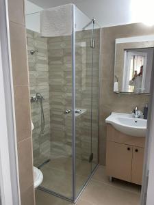 a bathroom with a shower and a sink at Vila Vanesa in Arieşeni
