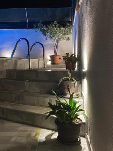 Fotografie z fotogalerie ubytování Apartman Bukulja v destinaci Aranđelovac