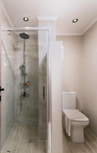 a bathroom with a toilet and a glass shower at Central apartments “Evanthia” in Pitsidia