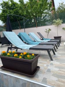 a group of lounge chairs and flowers on a patio at APARTMAN BUKULJA 2 in Arandelovac