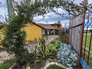 a house with a fence and a yard with a cactus at Finca La Aurora in Tibasosa