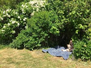 Galeriebild der Unterkunft 6 person holiday home in Karby-By Traum in Karby