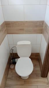 a bathroom with a white toilet in a room at Chatka Maya Máchovo jezero in Doksy