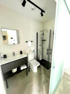 a bathroom with a toilet and a sink and a shower at Estudio centro Villanueva Cañada in Villanueva de la Cañada