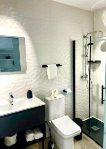 a bathroom with a toilet and a sink and a shower at Estudio centro Villanueva Cañada in Villanueva de la Cañada