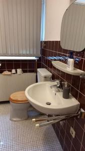 a bathroom with a sink and a toilet and a mirror at Double Room with a Kitchen and a Shared Bathroom in Bremen