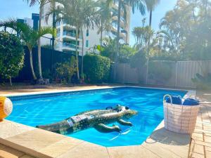a toy crocodile in the middle of a swimming pool at Quiet Family Apartment Near Beach with Pool in Gold Coast