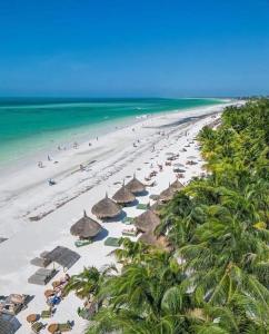 una playa con sombrillas de paja y gente en la playa en ALMAR FAMILY HOUSE en Isla Holbox