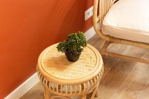 a potted plant sitting on a wicker stool at L'Atelier Terracotta in Carrières-sous-Poissy