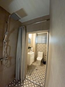 La salle de bains est pourvue d'une douche et de toilettes. dans l'établissement SP Central Loft, à Vólos