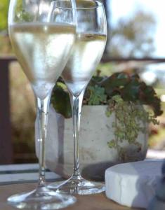 two glasses of white wine sitting on a table at Bonnie Views Cottage in Clunes