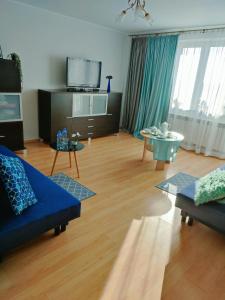Μια τηλεόραση ή/και κέντρο ψυχαγωγίας στο Apartament nad Nidą