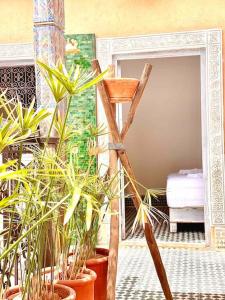 Afbeelding uit fotogalerij van Riad YSL- Garden View - 3 min from the souk in Marrakesh