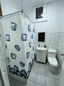 y baño con aseo y cortina de ducha. en Casa Valparaíso, en Valparaíso