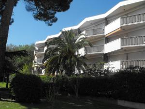 una palma di fronte a un edificio di Appartement Argelès-sur-Mer, 3 pièces, 4 personnes - FR-1-732-7 ad Argelès-sur-Mer