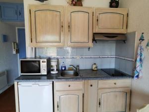 cocina con armarios de madera, fregadero y microondas en Appartement Argelès-sur-Mer, 1 pièce, 3 personnes - FR-1-732-2, en Argelès-sur-Mer