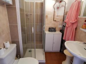 y baño con ducha, aseo y lavamanos. en Appartement Argelès-sur-Mer, 1 pièce, 3 personnes - FR-1-732-2, en Argelès-sur-Mer