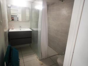 La salle de bains est pourvue d'un lavabo, d'une douche et de toilettes. dans l'établissement Maison Argelès-sur-Mer, 3 pièces, 5 personnes - FR-1-732-16, à Argelès-sur-Mer