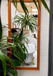 a bathroom with a mirror and a toilet with plants at Dốc Garden Homestay - Apartment & Coffee in Da Lat