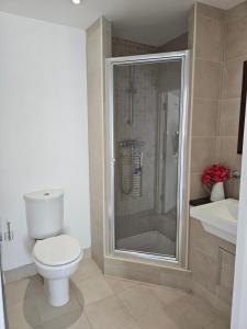 a bathroom with a shower and a toilet and a sink at The swan at compton in Compton