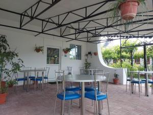 a room with tables and chairs and plants at Pensiunea Raluca in Mahmudia