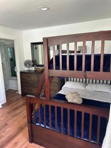 Unique guest house loft في سبرينج ليك: غرفة نوم مع سرير بطابقين مع مرآة