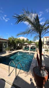 a palm tree in a pot next to a swimming pool at BADEMİÇİ OTEL in Alacati
