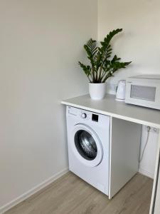 a washing machine with a microwave and a plant on a counter at Endla Hostel ja Apartamendid in Haapsalu