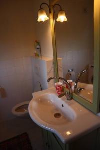 een badkamer met een wastafel, een toilet en een spiegel bij Basic Natuurhuisje Ommen/Beerze in Beerze