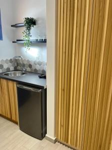 a kitchen with a sink and a wooden sliding door at Akroyiali Resort in Vasiliki