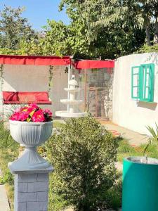 Vườn quanh SANTORINI hotel & hostel