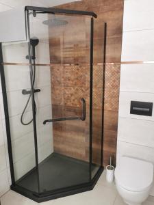 a glass shower in a bathroom with a toilet at Under the Hill 2 in Bad Muskau