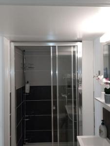 een glazen douche in een badkamer met een wastafel bij Studio Chavigny avec wifi in Chavigny