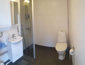 a small bathroom with a toilet and a sink at Pehtoorintupa in Ikaalinen