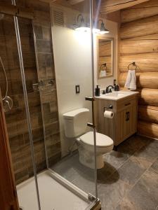 a bathroom with a toilet and a shower and a sink at Secluded Log Cabin, 30 min from Chena Hot Springs in Pleasant Valley