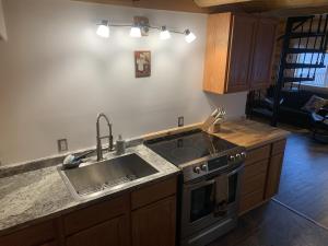 uma cozinha com um lavatório e um fogão em The Chena Valley Cabin, perfect for aurora viewing em Pleasant Valley