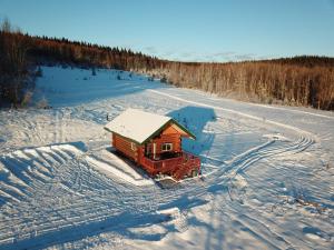 een kleine hut in de sneeuw in een veld bij The Chena Valley Cabin, perfect for aurora viewing in Pleasant Valley