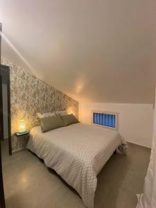1 dormitorio con 1 cama grande en una habitación en Les Caze de la Mer Cassée, en Saint-Philippe