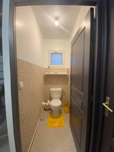 a bathroom with a toilet and a window at Les Caze de la Mer Cassée in Saint-Philippe