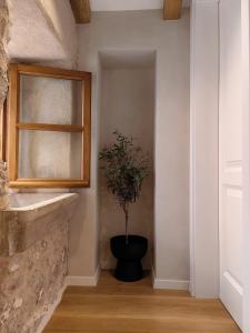 une plante dans un pot noir dans un couloir dans l'établissement Old Town Olive luxury room for 3, à Dubrovnik