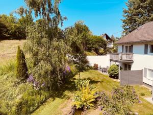 a view of the yard of a house at Ferienanlage Villa Maare in Gillenfeld +31 photos