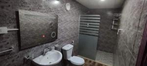 uma casa de banho com um lavatório, um WC e um espelho. em Desert Sand Camp em Wadi Rum