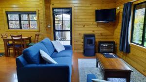 TV a/nebo společenská místnost v ubytování Central Chalets Ltd