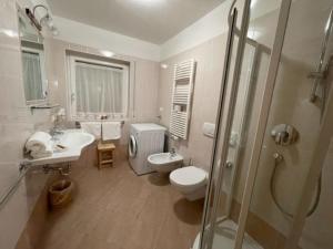 a bathroom with a toilet and a sink and a shower at Panoramic Residence Schopplhof in Villnoss