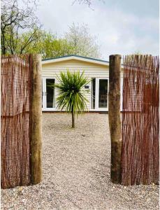 a fence in front of a house with a palm tree at Palm Cottage in Kent