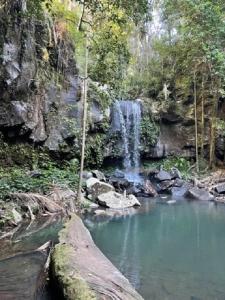 a waterfall in a forest with a log in the water at Tambaridge Bed & Breakfast in Eagle Heights