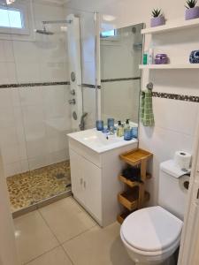 La salle de bains est pourvue de toilettes, d'un lavabo et d'une douche. dans l'établissement Les Gites Capra - La parisienne, à Paray-Vieille-Poste